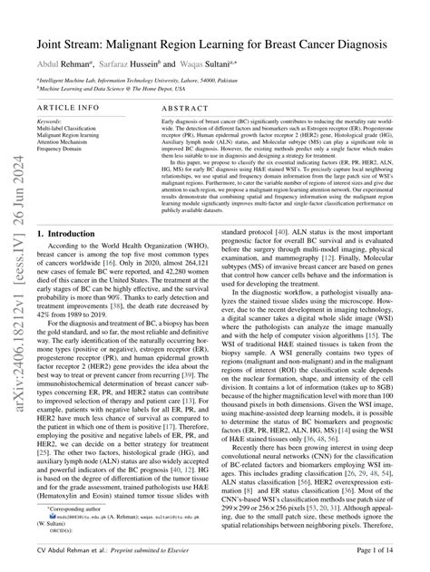 Joint Stream: Malignant Region Learning for Breast Cancer .